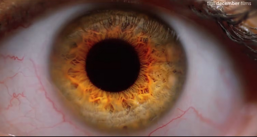  KFC Chicken Smoky Wings